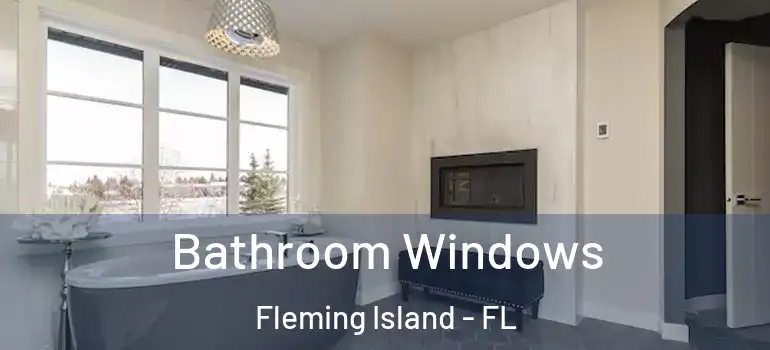  Bathroom Windows Fleming Island - FL