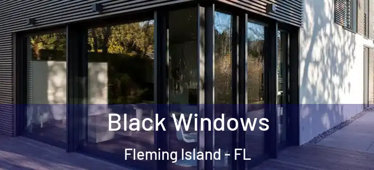  Black Windows Fleming Island - FL