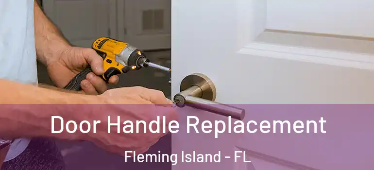  Door Handle Replacement Fleming Island - FL