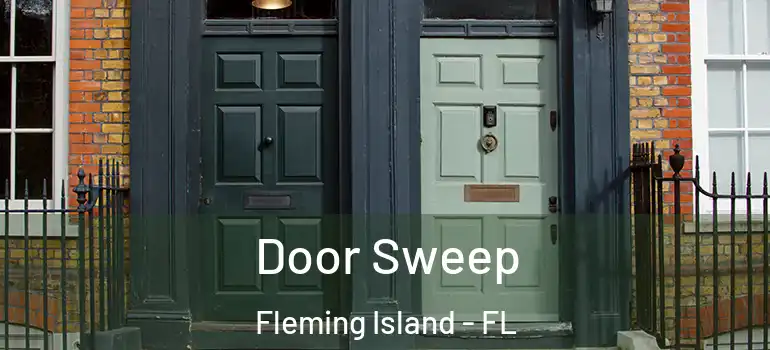  Door Sweep Fleming Island - FL