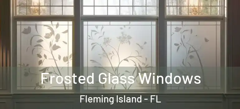  Frosted Glass Windows Fleming Island - FL