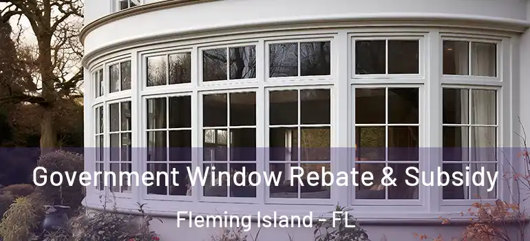  Government Window Rebate & Subsidy Fleming Island - FL