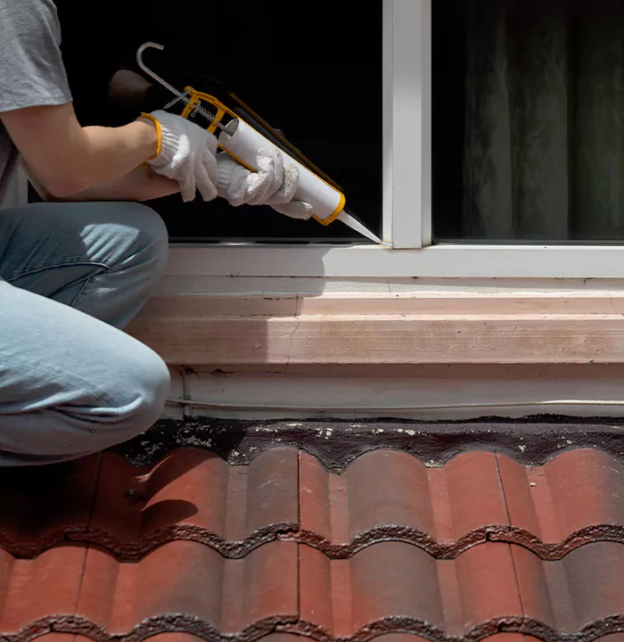 Roof Window Services in Fleming Island, Florida