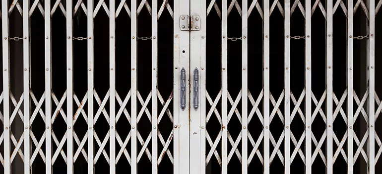 Steel Line Garage Door Repairs in Fleming Island, FL