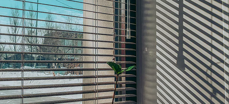 Commercial Window Blinds in Fleming Island, FL