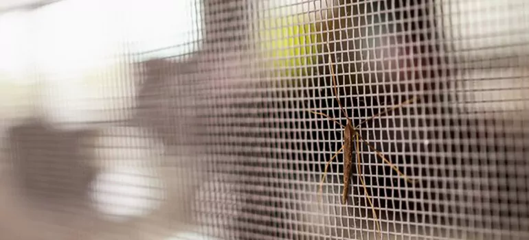 Repair Mosquito Mesh For Windows in Fleming Island, FL