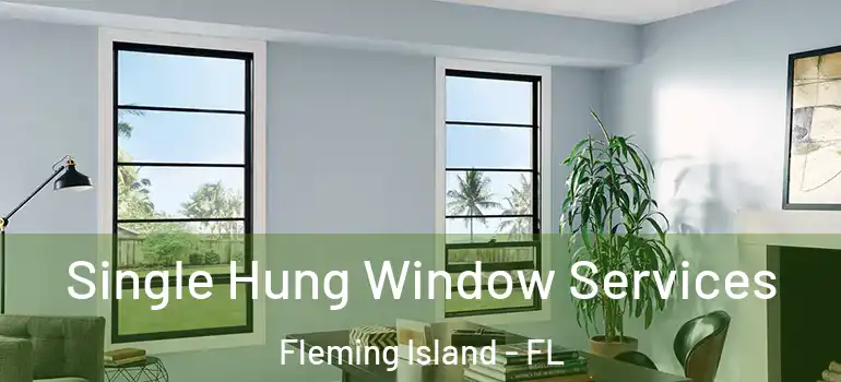  Single Hung Window Services Fleming Island - FL