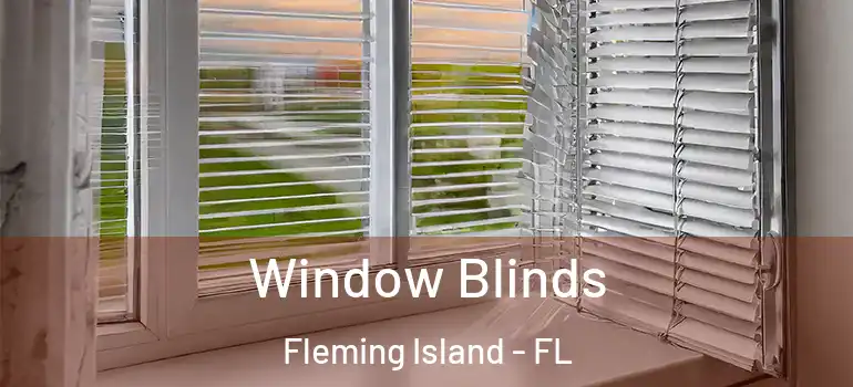  Window Blinds Fleming Island - FL