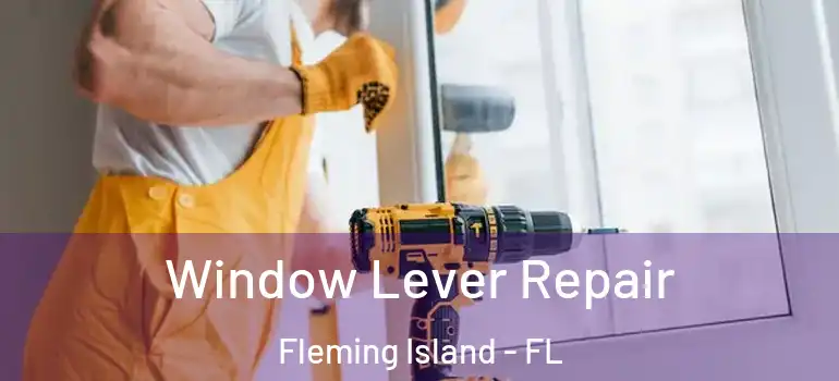  Window Lever Repair Fleming Island - FL
