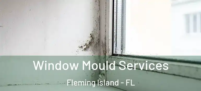  Window Mould Services Fleming Island - FL