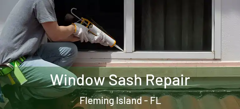  Window Sash Repair Fleming Island - FL