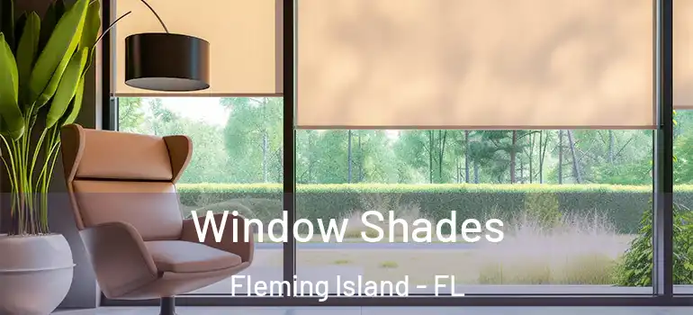  Window Shades Fleming Island - FL